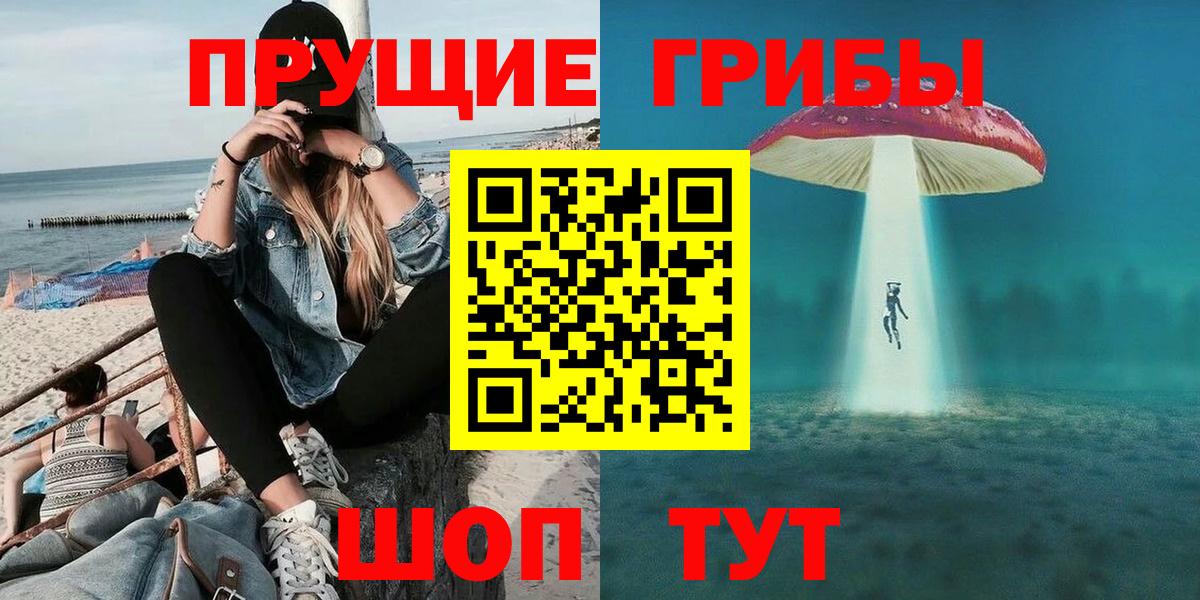 Бердск  что такое   Вход с VPN  Псилоцибиновые грибы мухоморы  Псилоцибиновые грибы мицелий 