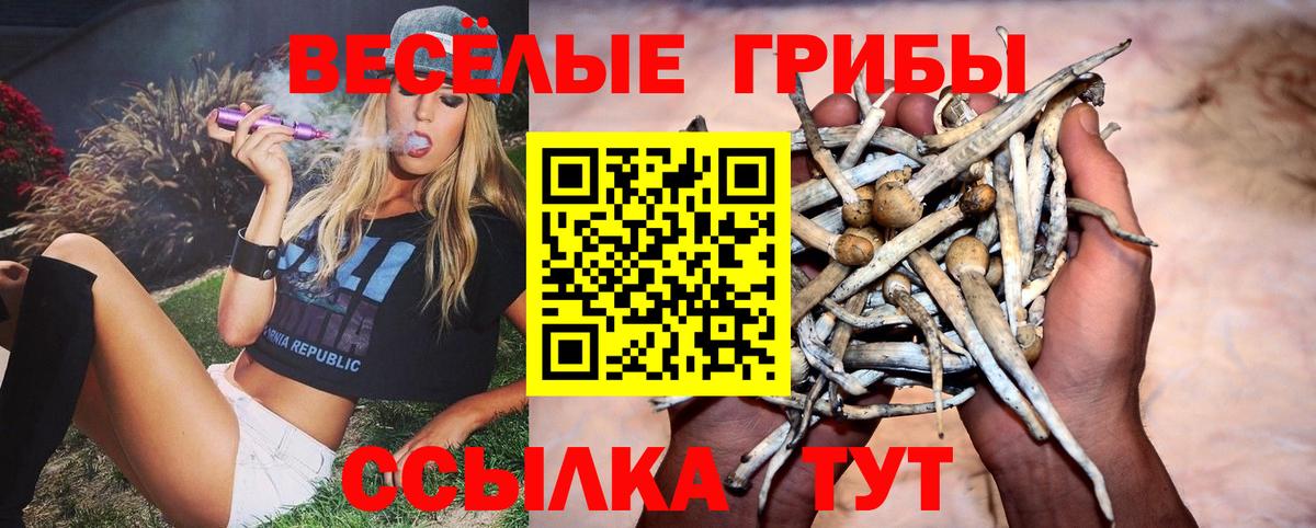 Галлюциногенные грибы MAGIC MUSHROOMS Бердск